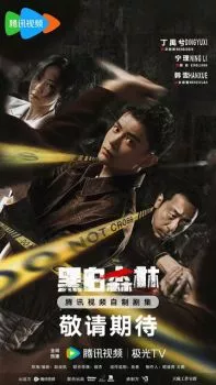 Чёрно-белый лес