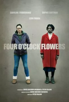 Цветы на четыре часа